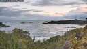 ./images/calvert/foggy-cove/20260516/foggy-cove20260516_054001M.jpg