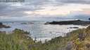./images/calvert/foggy-cove/20260516/foggy-cove20260516_055001M.jpg