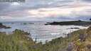 ./images/calvert/foggy-cove/20260516/foggy-cove20260516_055501M.jpg