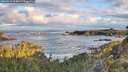 ./images/calvert/foggy-cove/20260516/foggy-cove20260516_064001M.jpg