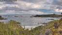 ./images/calvert/foggy-cove/20260516/foggy-cove20260516_072501M.jpg