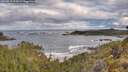 ./images/calvert/foggy-cove/20260516/foggy-cove20260516_073001M.jpg