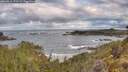 ./images/calvert/foggy-cove/20260516/foggy-cove20260516_073501M.jpg