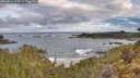 ./images/calvert/foggy-cove/20260516/foggy-cove20260516_074501M.jpg