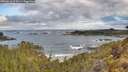 ./images/calvert/foggy-cove/20260516/foggy-cove20260516_075001M.jpg