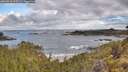 ./images/calvert/foggy-cove/20260516/foggy-cove20260516_075501M.jpg