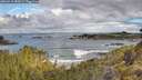 ./images/calvert/foggy-cove/20260516/foggy-cove20260516_080001M.jpg