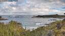 ./images/calvert/foggy-cove/20260516/foggy-cove20260516_081001M.jpg
