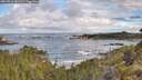./images/calvert/foggy-cove/20260516/foggy-cove20260516_081501M.jpg
