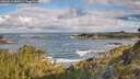 ./images/calvert/foggy-cove/20260516/foggy-cove20260516_082001M.jpg