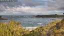 ./images/calvert/foggy-cove/20260516/foggy-cove20260516_084002M.jpg