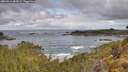 ./images/calvert/foggy-cove/20260516/foggy-cove20260516_084501M.jpg