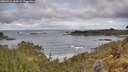 ./images/calvert/foggy-cove/20260516/foggy-cove20260516_085001M.jpg