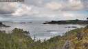 ./images/calvert/foggy-cove/20260516/foggy-cove20260516_091001M.jpg