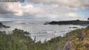 ./images/calvert/foggy-cove/20260516/foggy-cove20260516_091501M.jpg