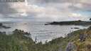 ./images/calvert/foggy-cove/20260516/foggy-cove20260516_092001M.jpg