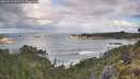 ./images/calvert/foggy-cove/20260516/foggy-cove20260516_092501M.jpg