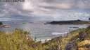 ./images/calvert/foggy-cove/20260516/foggy-cove20260516_093001M.jpg
