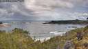 ./images/calvert/foggy-cove/20260516/foggy-cove20260516_093501M.jpg