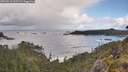 ./images/calvert/foggy-cove/20260516/foggy-cove20260516_102501M.jpg