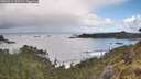 ./images/calvert/foggy-cove/20260516/foggy-cove20260516_103501M.jpg