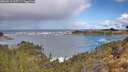 ./images/calvert/foggy-cove/20260516/foggy-cove20260516_105501M.jpg