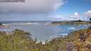 ./images/calvert/foggy-cove/20260516/foggy-cove20260516_110001M.jpg