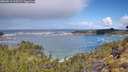 ./images/calvert/foggy-cove/20260516/foggy-cove20260516_110501M.jpg