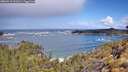 ./images/calvert/foggy-cove/20260516/foggy-cove20260516_111001M.jpg
