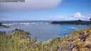 ./images/calvert/foggy-cove/20260516/foggy-cove20260516_111501M.jpg