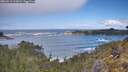 ./images/calvert/foggy-cove/20260516/foggy-cove20260516_112002M.jpg