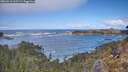 ./images/calvert/foggy-cove/20260516/foggy-cove20260516_112501M.jpg