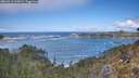 ./images/calvert/foggy-cove/20260516/foggy-cove20260516_113001M.jpg