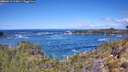 ./images/calvert/foggy-cove/20260516/foggy-cove20260516_115001M.jpg