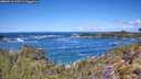 ./images/calvert/foggy-cove/20260516/foggy-cove20260516_115501M.jpg