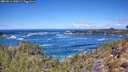 ./images/calvert/foggy-cove/20260516/foggy-cove20260516_120501M.jpg