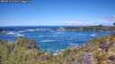 ./images/calvert/foggy-cove/20260516/foggy-cove20260516_121002M.jpg
