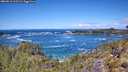 ./images/calvert/foggy-cove/20260516/foggy-cove20260516_121501M.jpg