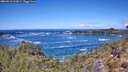 ./images/calvert/foggy-cove/20260516/foggy-cove20260516_122001M.jpg