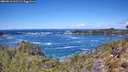 ./images/calvert/foggy-cove/20260516/foggy-cove20260516_122501M.jpg