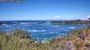./images/calvert/foggy-cove/20260516/foggy-cove20260516_123001M.jpg