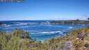 ./images/calvert/foggy-cove/20260516/foggy-cove20260516_124001M.jpg