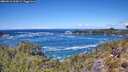 ./images/calvert/foggy-cove/20260516/foggy-cove20260516_124501M.jpg