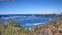 ./images/calvert/foggy-cove/20260516/foggy-cove20260516_125001M.jpg