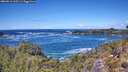 ./images/calvert/foggy-cove/20260516/foggy-cove20260516_125501M.jpg