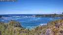 ./images/calvert/foggy-cove/20260516/foggy-cove20260516_130001M.jpg