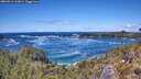 ./images/calvert/foggy-cove/20260516/foggy-cove20260516_133001M.jpg