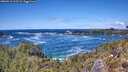 ./images/calvert/foggy-cove/20260516/foggy-cove20260516_133501M.jpg