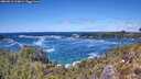 ./images/calvert/foggy-cove/20260516/foggy-cove20260516_134001M.jpg