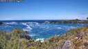 ./images/calvert/foggy-cove/20260516/foggy-cove20260516_140501M.jpg